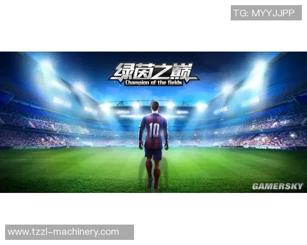 追风少侠左边锋的绿茵传奇与速度激情之巅